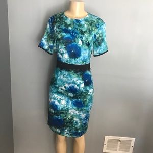 Angeleye london sheath style dress size small